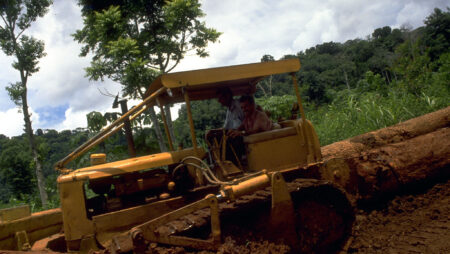 Tømmerarbejderen på Borneo