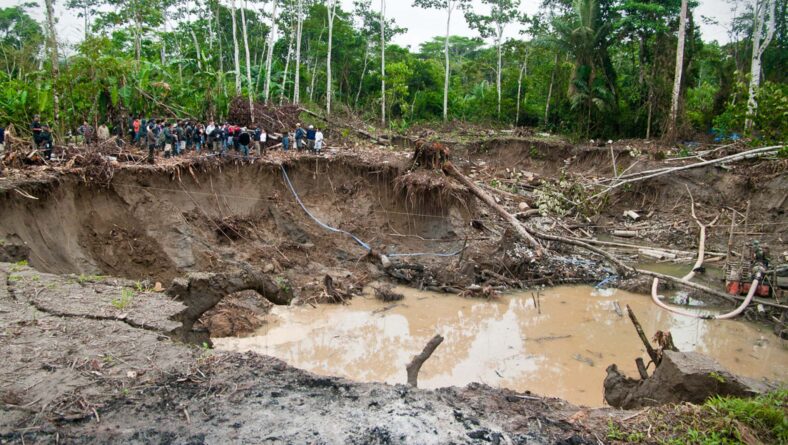 Guldgraveren i Amazonas